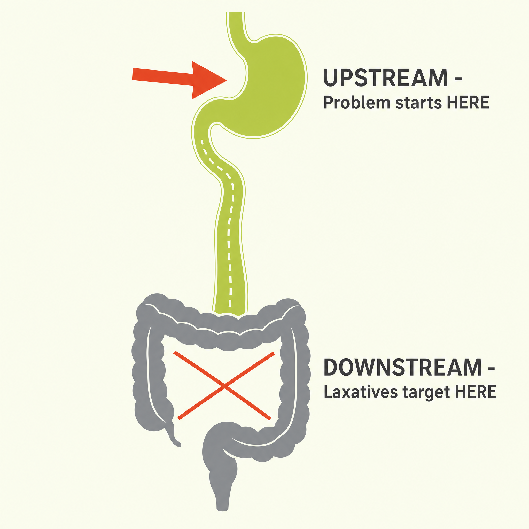 Diagram: Upstream stomach is where the problem starts. Downstream colon is where laxatives target.